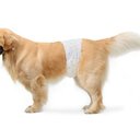 Basics Male Dog Diapers, 30 Count, Large, Ultra Absorbent Disposable Wrap with Secure Fit, Leakproof and Comfortable