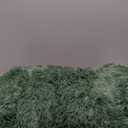 DweIke Fluffy Dark Green Rugs for Bedroom Living Room, 4x6 Feet Soft Plush Shaggy Forest Hunter Green Girls Boys Kids Rug, Non-Slip and Machine Washable Carpet for Dorm Nursery Classroom Decor