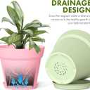 WSMKSZ 6 Inch Thick Plastic Plant Pots with Drainage Holes and Trays 6 Pack Nursery Pots for Indoor & Outdoor House Plants, Seedling Starter Planters for Garden Flowers, Colorful