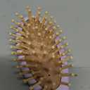 Baby Hair Brush Set for Newborns - Soft Goat Bristle Wooden Baby Brush and Comb Set Newborn Grooming Kit for Cradle Cap, Durable & Gentle, Boy, Girl Infant Essentials Care Kit (Regular, Thistle), 2 Pieces