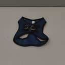 Best Pet Supplies Voyager Step-in Air Harness - All Weather Mesh, Reflective, No Pull Harness for Dogs, Cats - Secure with Hook & Loop Fastener, Buckle, Double D-Rings - Blue/Black Trim, M