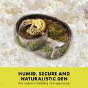 Zilla Rock Lair, Naturalistic Hide, Supports Shedding and Egg-Laying, Retains Humidity, Ideal for Snakes and Lizard, Medium
