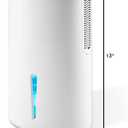 Small Dehumidifier for Bedroom up to 1000 Sq.Ft with Drain Hose, 68 OZ, Auto Shut-Off, Mini Dehumidifier with 7 Color ambient Lights for Bathroom, Basement, Closet, Garage, RV