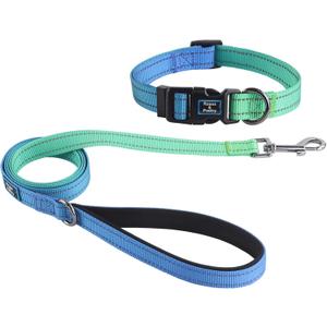 Roses&Poetry Bluegreen Small Dog Collar and Leash Set, Puppy Reflective Leashes with Collars, Adjustable Durable Matching Collar Leash for Small Dogs Girl (Bluegreen-S)