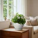 Indoor Plant Pots 8 Inch, Ceramic Plant Pots, Textured Grey