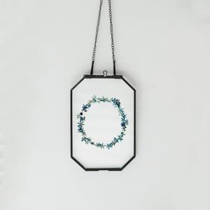 Small 4" x 6" Double Glass Floating Frame with Chain for Display Dried Flowers, Plant Specimen, Photo, Picture - Home Office Wall Hanging Decor, Black, Octagon