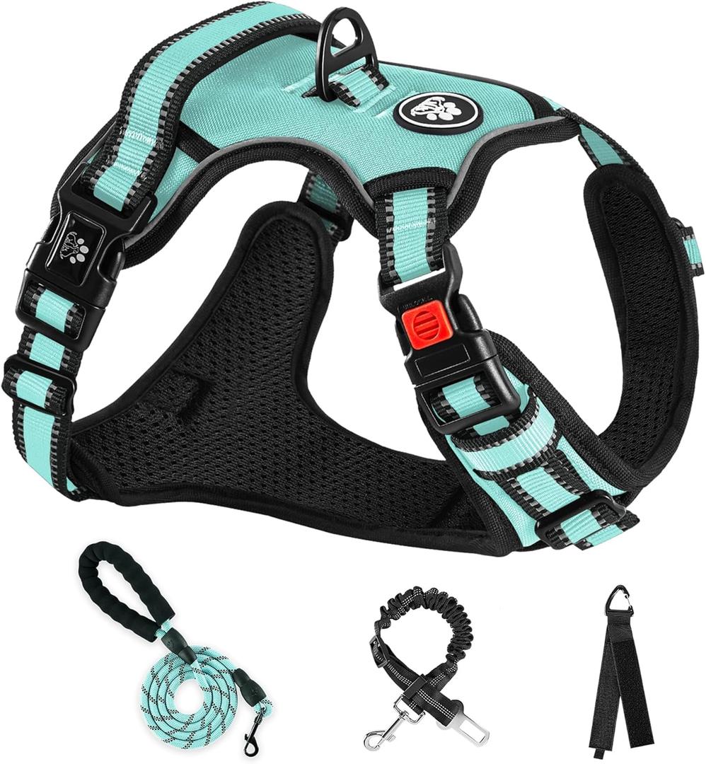 NESTROAD No Pull Dog Harness,Adjustable Oxford Dog Vest Harness with Leash,Reflective No-Choke Pet Harness with Easy Control Soft Handle for Large Dogs(Large,Turquoise) (Lneck 15-19" chest 19-29")