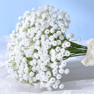 Elyum 25 Pcs Babys Breath Artificial Flowers, 12.5 Inch Baby Breath Flowers Artificial Bulk for Vase, Real Touch Fake Babys Breath Gypsophila for Wedding Bouquet Floral Arrangement Home Decor (White) Elyum 25 Pcs Babys Breath Artificial Flowers, 12.5 Inch Baby Breath Flowers Artificial Bulk for Vase, Real Touch Fake Babys Breath Gypsophila for Wedding Bouquet Floral Arrangement Home Decor (White)