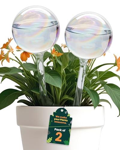 Iridescent Self Watering Globes, Glass Rainbow Plant Watering Globes, Self Watering Planter Insert, Automatic Plant Waterer Indoor (Medium-2 Pcs Iridescent)