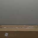 DEXI Front Door Mat Outside Entrance, Summer Tropical Leaves Plant Doormat, Non Slip Dirt Resist Heavy Duty Entry Mats for Entryway, 24x36, Olive Green