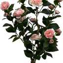 Kiko Artificial Flower Rose Tree -35" (90cm) Tall 19 Heads Fake Floor Flower with Plastic Pot for Office, Living Room, Dinner Room, Shopping mall, and Home Decoration for Indoors