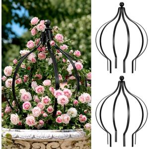 2 Set Metal Garden Obelisk Trellis for Climbing Plants with 100 Ties 18 x 12'' Sturdy Versatile Support for Roses Vines Flowers Potted Plants Garden Ornament Easy Assembly Indoor Outdoor Displays