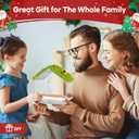 Clear Window Bird Feeder with 4 Strong Suction Cups & Decorative Lawn Top - Ideal for Garden/Yard Decor, Elderly & Kids Bird Watching, Unique Gift for Nature Lovers (Transparent&Green)