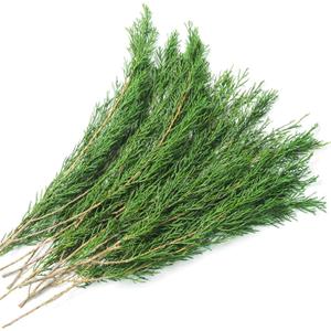 Pine Leaves Branches, 17'' Natural Pine Needles Green Plants, 3.5OZ Greenery Twigs Stems, Evergreen Picks for Christmas Garland Wreath Home Wedding Decor Floral Arrangements