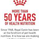 Royal Canin, Feline Care Nutrition Urinary Care Thin Slices in Gravy Adult Wet Cat Food, 3 Ounce (EXP 04/18/28)