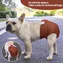 CuteBone Washable Dog Diapers Female No Tail Hole 3 Pack Reusable Doggie Period Training Pants for Docked-Tail Frenchie French Bulldog Boston Terrier Without Tail WWD22L, Large 