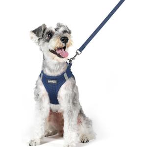 rabbitgoo Dog Harness Small Sized and Leash Set, Step in Soft Light Puppy Vest, Breathable Mesh Pet Harness, Reflective for Outdoor Safe Walking, Navy Blue XL