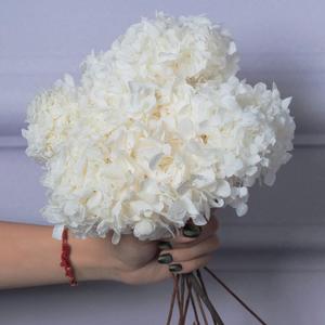 5 PCS Dried Preserved White Hydrangea Flowers - Length 14'' Corolla Size 3''-4'' Real Hydrangeas Petals Handmade for Vase, Arrangement Boho Style Home House Office Wedding Shower Valentine's Decor 5 PCS Dried Preserved White Hydrangea Flowers - Length 14'' Corolla Size 3''-4'' Real Hydrangeas Petals Handmade for Vase, Arrangement Boho Style Home House Office Wedding Shower Valentine's Decor