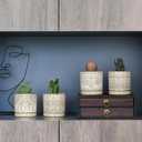 Gepege 4 Inch Small Indoor Succulent Ceramic Planter Pot with Drainage Holes and Saucers for Plants, Birthday for Women Mom (White)