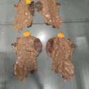 Capybara Birthday Party Decoration balloons,4pcs 37inch capybara foil mylar balloons for cappy party decoration