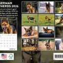 German Shepherd Calendar 2026 Monthly Wall Calender GSD Shepard Gifts 12 Month | American Made In The USA