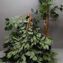 6.2ft Ficus Artificial Trees with 3 Natural Curved Trunks, 74" Tall Lush Faux Tree for Home Decor Indoor, Green Lifelike Fake Ficus Tree Artificial Plants