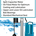 Barnes 110404 Model SEV412VFT Heavy-Duty Sewage Pump - Dual Ball Bearings, 1/2 HP Motor, 20 Foot Cord, 2-Inch Discharge - Compact, High-Efficiency for Residential and Light Commercial Use