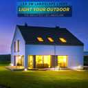 LED Landscape Lights,5W 120V AC Outdoor Pathway Garden Yard Spotlight,IP65 Waterproof Garden Flood Light,Outdoor Spotlight with Stake,UL Cord 5-ft with Plug (Pack of 2, Daylight White)