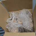 VASAGLE Solid Wood Coat Rack, Free Standing Tree-Shaped Coat Rack with 8 Hooks, 3 Height Options, for Clothes, Hats, Bags, Living Room, Bedroom, Home Office, Natural Beige URCR004N01