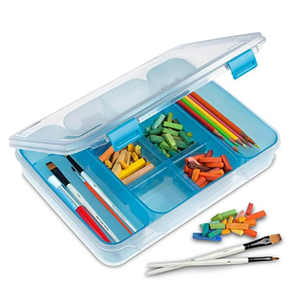 STERILITE Divided Case, Multicolor