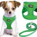 YIMEIS Dog Harness and Leash Set, No Pull Soft Mesh Pet Harness, Reflective Adjustable Puppy Vest for Small Medium Large Dogs, Cats (Green, X-Small (Pack of 1)