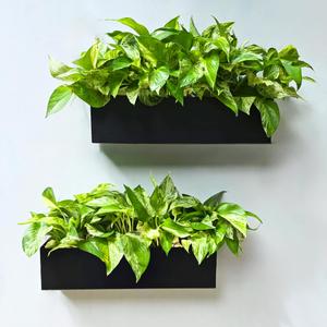 LaLaGreen Wall Planter (16 Inch, 1 Pack) Rectangular Metal Hanging Flower Pot for Succulents Carbon Steel Black, Long Window Sill Box Modern Fence Floating Garden Shelf for Deck Indoor Outdoor Decor