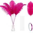 Holmgren Hot Pink Ostrich Feathers - 20pcs Making Kit 22 Inch Ostrich Feathers Bulk for Vase, Floral Arrangement, Home Wedding Party Centerpieces and Easter Gatsbi Decorations