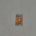 Little Trees Auto Air Freshener, Hanging Card, Warm Pumpkin Spice Fragrance And Kooty Key