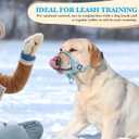 No-Pull Dog Head Collar, Print Head Halter Collar for Dogs, Gentle Lead to Stop Heavy Pulling, Anti-Pull Training Muzzle Leash for Easy Control on Walks (Blue, Small)