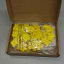 50 Sets Inspirational Gifts Motivational Star Shaped Erasers You're a Star Erasers Emotional Cards for Party Office Exchange Gifts