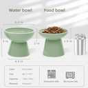 CEEFU 2 Elevated Ceramic Cat Bowls Extra Wide for Food & Water – Whisker Fatigue Shallow Food Dish, Lead & Cadmium-Free, Raised Height for Cats, Sage Green