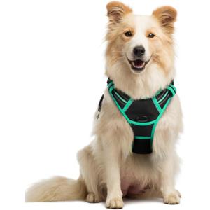 Rabbitgoo Dog Harness No Pull with 2 Leash Clips, Adjustable Soft Padded, Reflective Oxford No Choke Pet Vest with Easy Control Handle for Medium Sized Dogs, Black & Turquoise, M