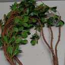 HANDIC 3 Pcs Faux Stems Artificial Branches for Vase Greenery Stems Faux Branches for Vase Plant Artificial Eucalytus Branches Plants (45"/Each Branch) (3, Green)