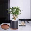 2 Pack Ceramic Plant Saucer Pot Tray 6 Inch, Planter Saucers 4 5 6 7 8 9 10 11 12 13 Inch for Indoors Outdoor, Durable Sturdy Flower Drainage drip Water Tray for Glazed Pots Base (6.4 Inch-Brown)