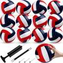 Meooeck 12 Pcs Volleyballs Official Size 5 Volley Balls Bulk Practice Volleyballs Indoor Outdoor Soft Recreational Volley Ball with Pump for Beginner for Gym Training Beach Pool