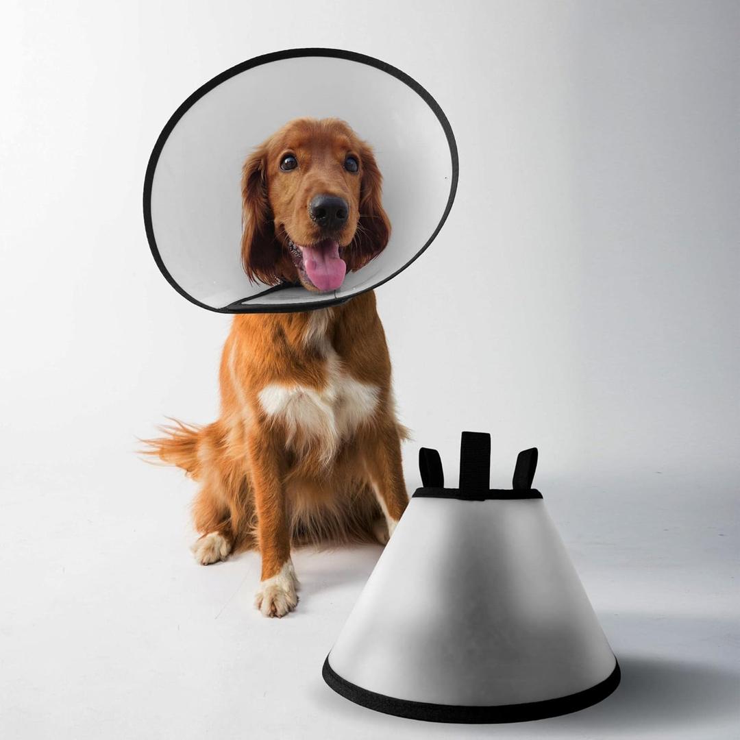 Pets' Products Adjustable Dog Cone (Size Medium) Plastic E-Collar Protective Collar for After Surgery Anti-Bite Lick Wound Healing Safety Practical Pet Cone Recovery Collar
