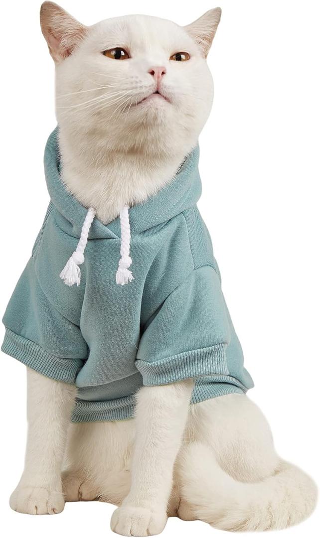 QWINEE Basic Dog Hoodie Sweatshirt Puppy Sweater Warm Cat Costumes Pet Clothes for Chihuahua Puppy Kitten Small Medium Dogs Cadet Blue X-Small