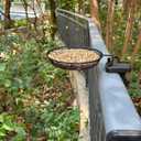 Railing/Fence/Pole Mount Bird Feeder 8" Metal Mesh Birdseed Tray for Deck/Balcony/Porch Wildbird Feeding Large Clamp(3" Max) Platform Wild Bird Feeder