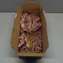 Winlyn 30 Pcs Christmas Artificial Bay Leaf Picks Cedar Sprays Rose Gold Glittered Christmas Tree Ornament Picks Winter Floral Stems for Rose Gold Christmas Tree Seasonal Wreath Wedding Centerpiece