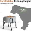 Elevated Dog Bowls, Ceramic Raised Dog Bowl Set with Anti-Slip and Non-Tip Metal Stand, 2 Pack Pet Food and Water Feeding Bowls for Small and Medium Dogs (Gray,7.6 Cups)