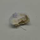 Evolve "Go Satin" Lined Shower Cap Ivory