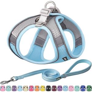 AIITLE Comfortable Dog Harness and Leash Set for Walking - Summer Step in Vest Harness,Reflective Bands, Adjustable No Pull Puppy Essentials, for Small Dogs and House Cats Blue XS (XS(Chest: 11.5 - 13.5"))
