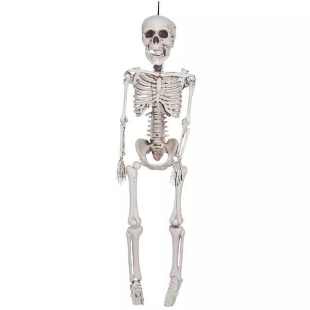 Halloween Skeleton Decorations, 20" Full Body Plastic Mini Little Skeleton Posable Joints Poseable Skeleton for Skeleton Halloween Party Hanging Decoration Yard Lawn Garden Patio Decor