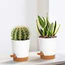 4 inch Small Plant Pots for Outdoor Indoor Plants, 10 Pack Planters with Drainage Holes and Tray, Small Self Watering Pots for Succulent,Cactus, Aloe and Other Plants. (White)